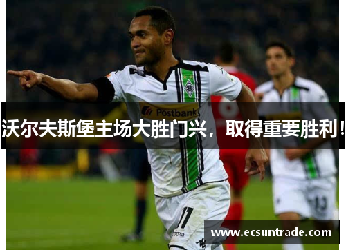 沃尔夫斯堡主场大胜门兴，取得重要胜利！