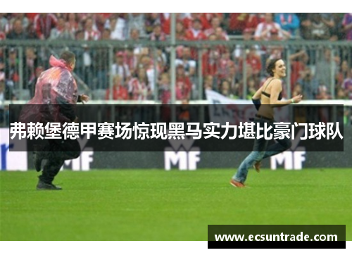 弗赖堡德甲赛场惊现黑马实力堪比豪门球队