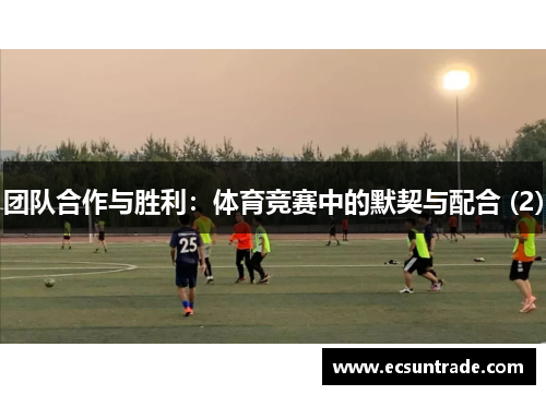 团队合作与胜利：体育竞赛中的默契与配合 (2)